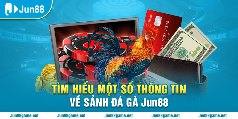 Tìm hiểu một số thông tin về sảnh đá gà Jun88