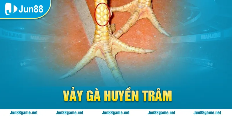 Giải nghĩa vảy huyền trầm